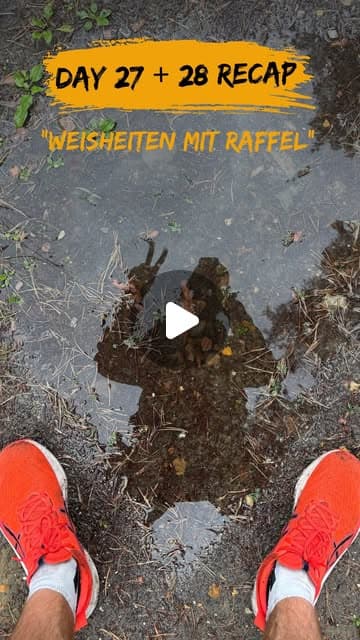 Raphael auf Instagram: "Etappe 27 & 28
Weisheiten mit Raffel
Lasst euch eines gesagt sein - wenn ihr mal an einem Punkt seid, an dem euch etwas richtig abfucked, denkt an meine Weisheit:
„Da muss ma durch“
In diesem Sinne, viel Spaß mit den 2 Etappen.
#chasingraffel
#running
#roadtoberlin
#laufen
#ultramarathon"