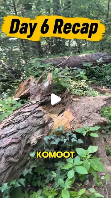 Raphael auf Instagram: "Heute war der bisher anstrengendste Tag meiner Reise.
Das Wetter kracht so heftig rein.
Ich wollte eigentlich ein neues Video aufnehmen, aber das ist unmöglich bei 32 grad lm Schatten. Demnach bekommt ihr noch bisschen Content von meinem workout.
Nächste Etappe: Hanau hbf - Altenstadt
Wir machen weiter!
08 Uhr geht’s weiter.
#ChasingRaffel
#800km
#RoadToBerlin
#Laufen
#Running"