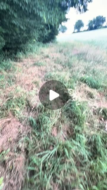Raphael auf Instagram: "Etappe 13 & 14
Der Bremsenbiss aus der Hölle
Diese Etappe hätte mich fast gebrochen. Katastrophale Wege, von Stichen übersäht und kaum noch Kraft um die Meter zu machen, die notwendig sind.
Eine pochende Hand und keine Möglichkeit zu kühlen.
Das ist am Ende wirklich nur noch ein Mindset Kampf. Gegen die Psyche und den Körper, die sagen: „ich will nicht mehr!“
Aber genau dahin wollte ich. Und jetzt geht die Reise erst richtig los.
#ChasingRaffel
#ultramarathon
#RoadToBerlin
#Laufen
#Running"